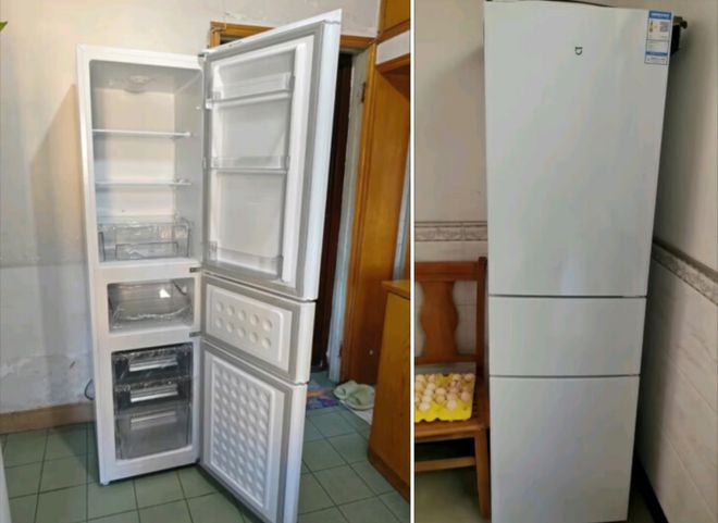 门冰箱最低只要687元最狠一款降两千米乐m6登录入口性价比炸裂的3款三(图5)